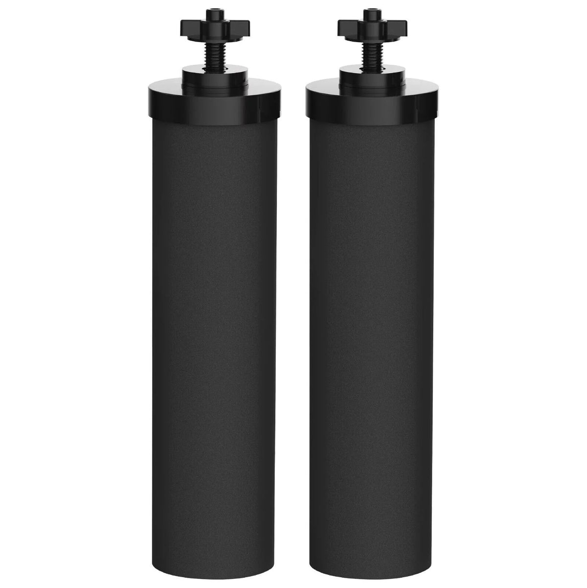 Water Filter Replacement Pack of 2 W8202
