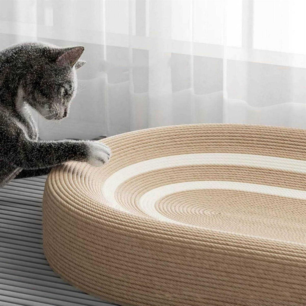 3 in 1 Cat Scratcher Bed X888668