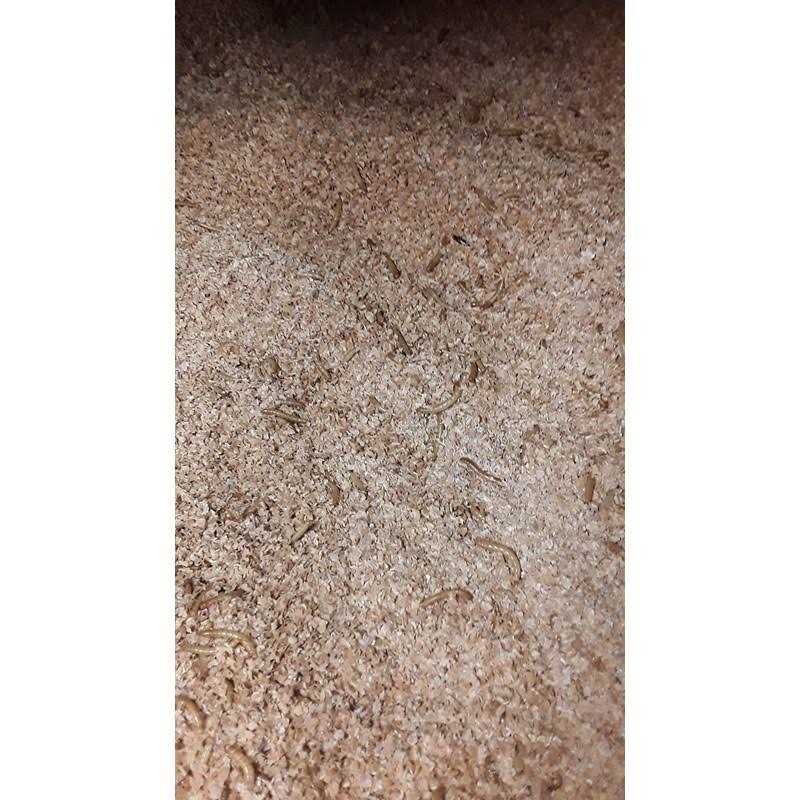 Mealworm and Superworm Bedding B858