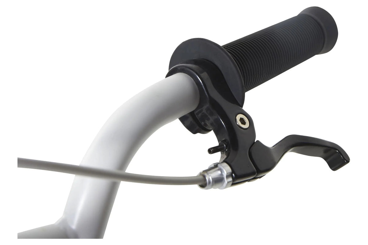 20-Inch BMX Bike T781