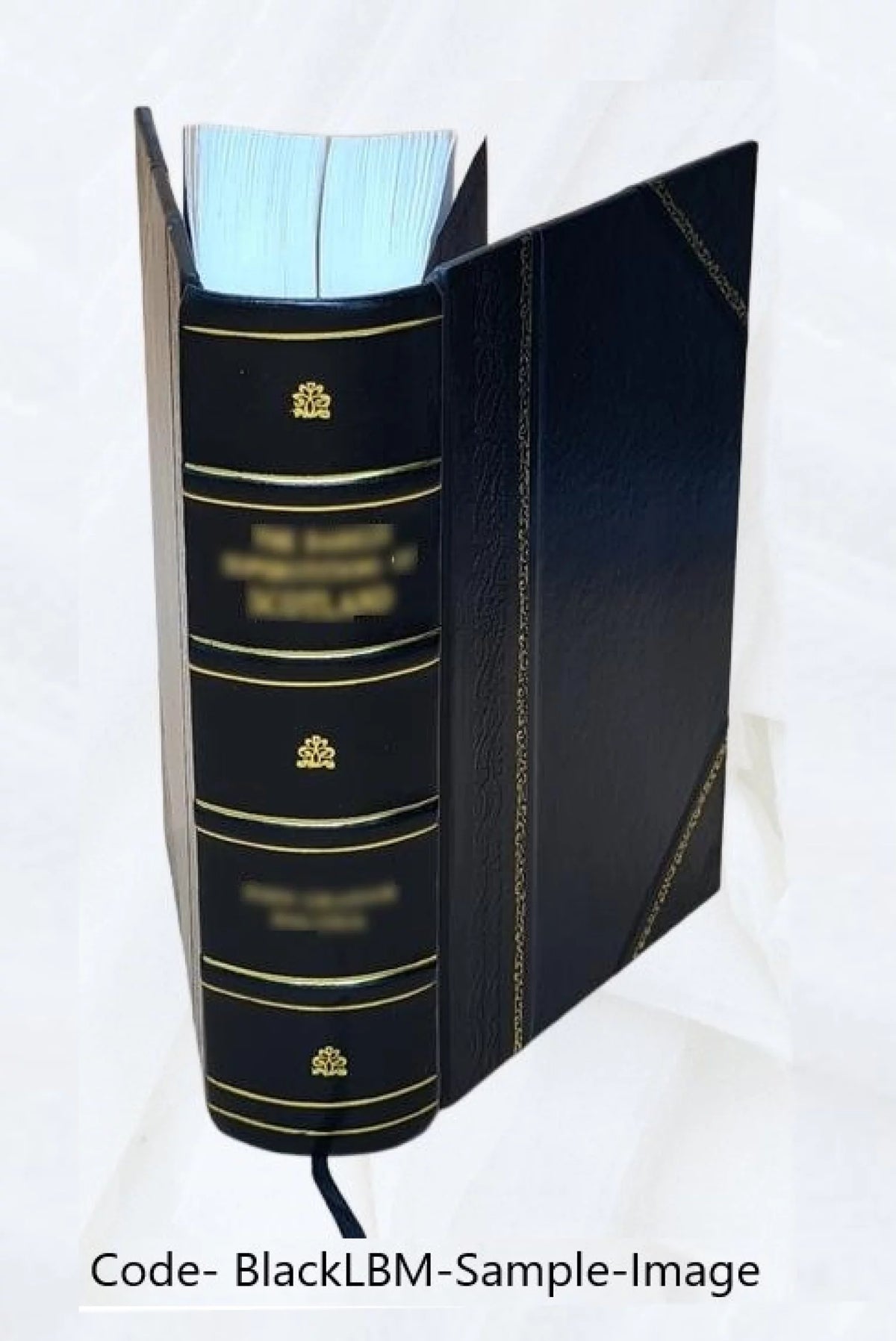 Leather Bound Book M6948