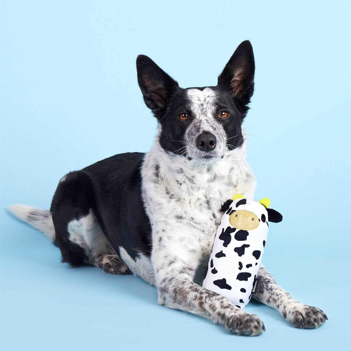Cow Dog Toy G54703
