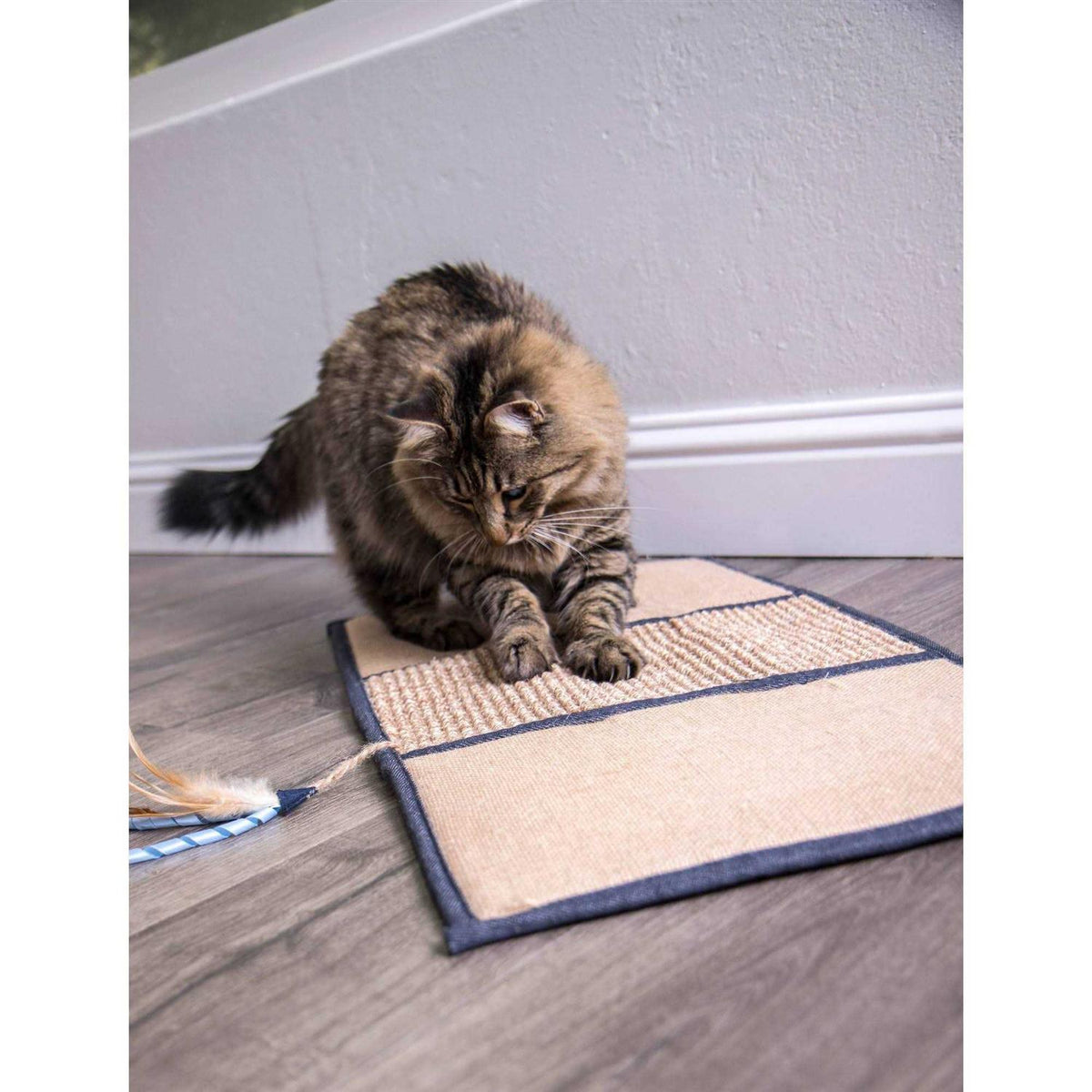 Cat Mat N5297
