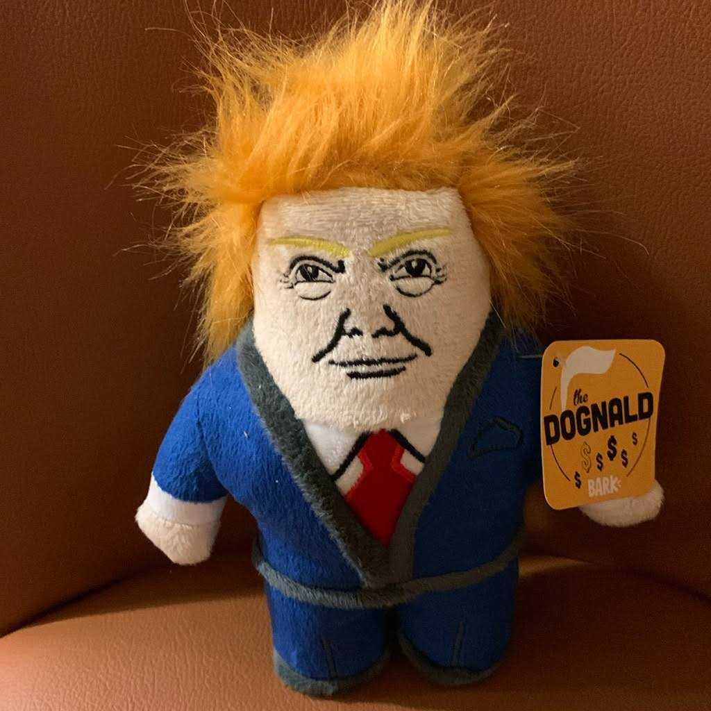 Dog Toy with Squeaker A874