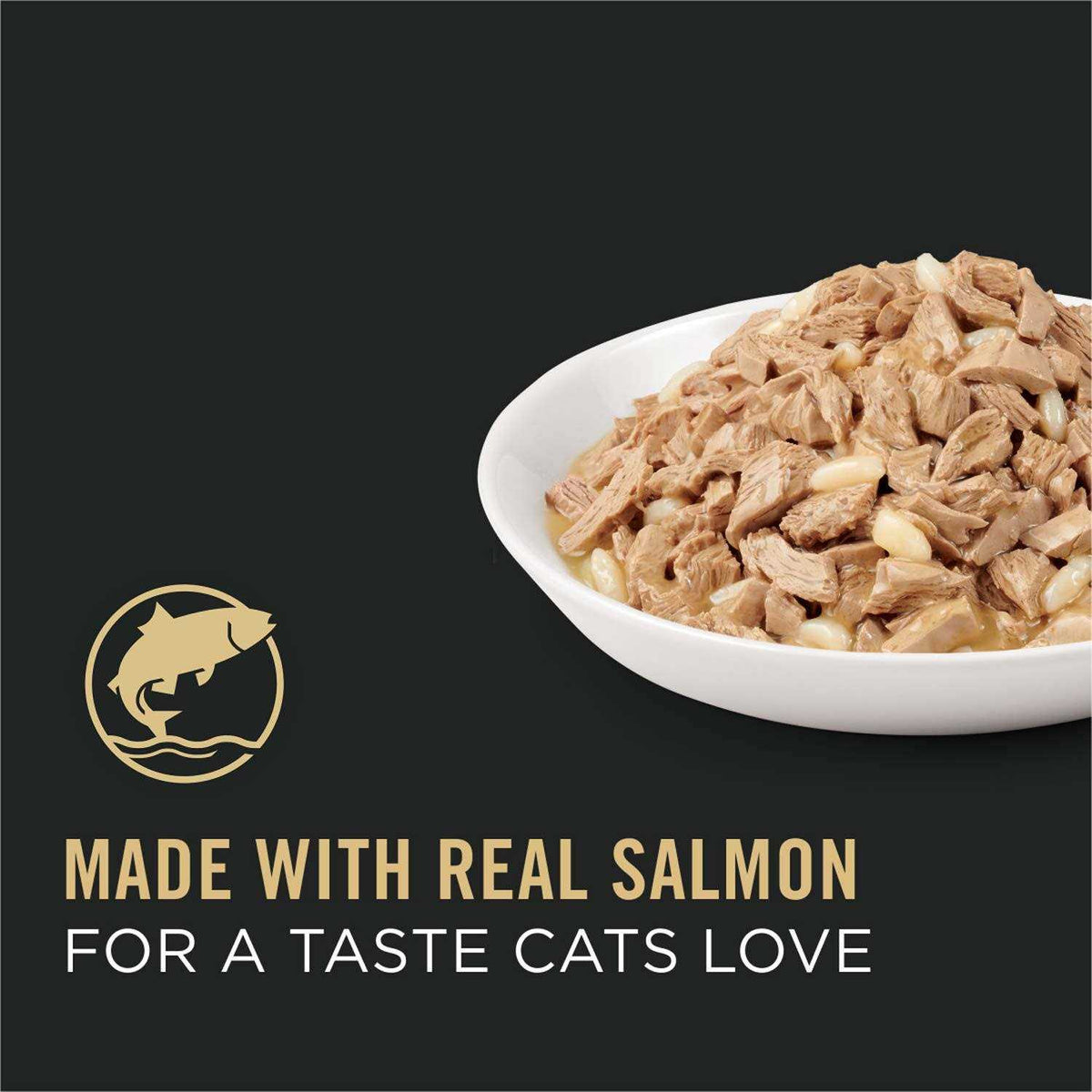Adult Cat Food Salmon & Rice Entree in Sauce G313