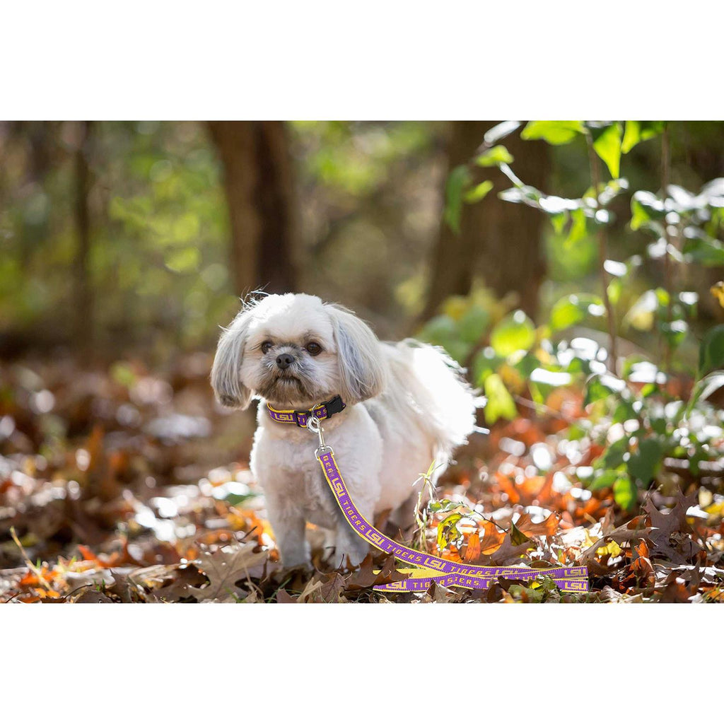 Pet Leash Q1412