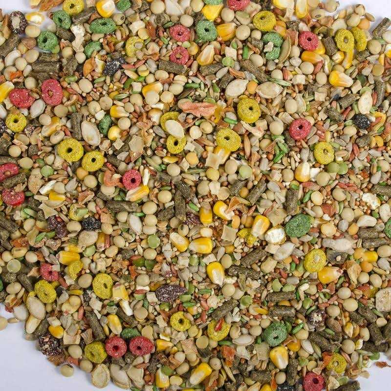 Hamster and Gerbil Advanced Nutrition Diet O96567