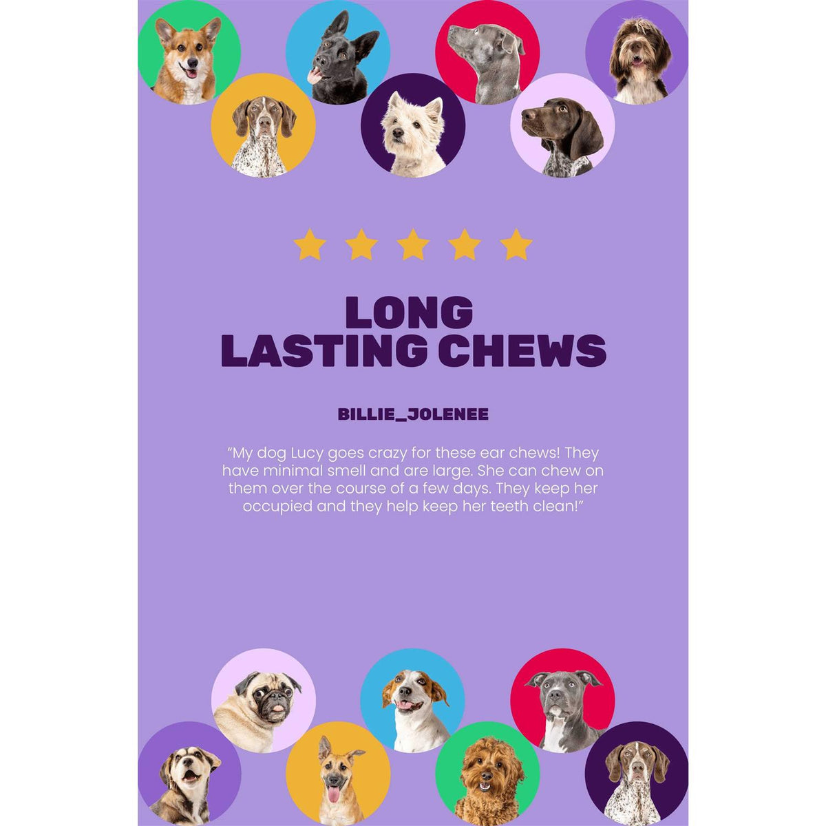 Dog Chews W600780