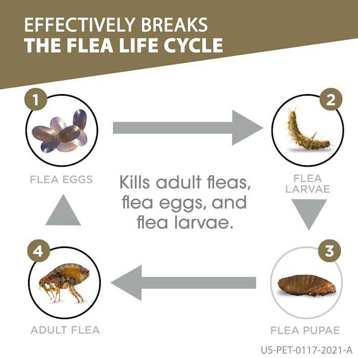 Dog Flea and Tick Treatment V824