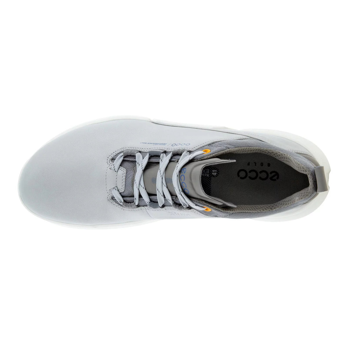 Golf Shoe L975467