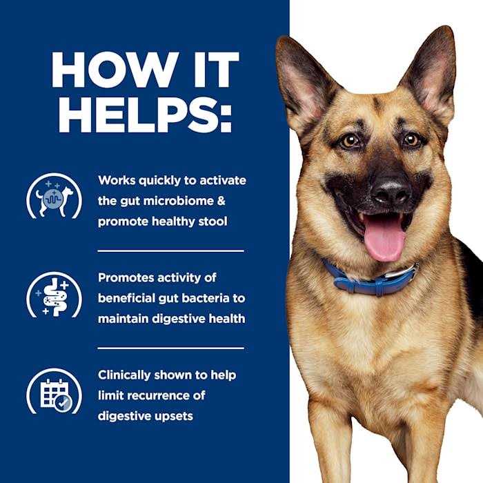Gastrointestinal Biome Chicken & Vegetable Stew Wet Dog Food C6994