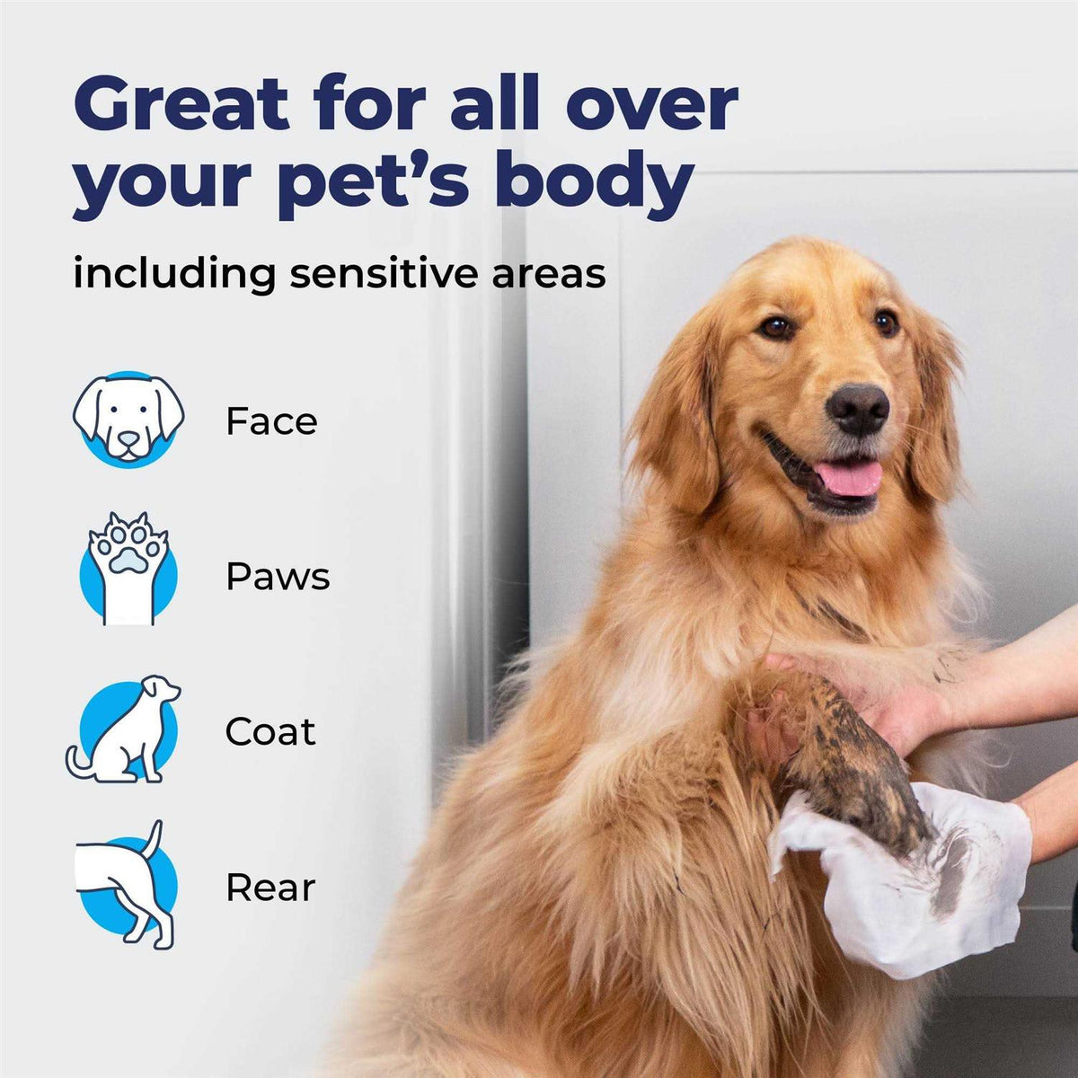 Pet Wipes X2676