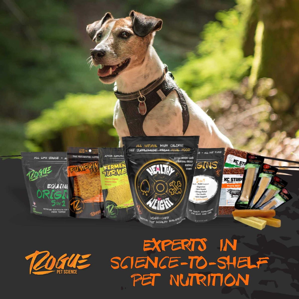 Pumpkin Dog Food Topper Z88879