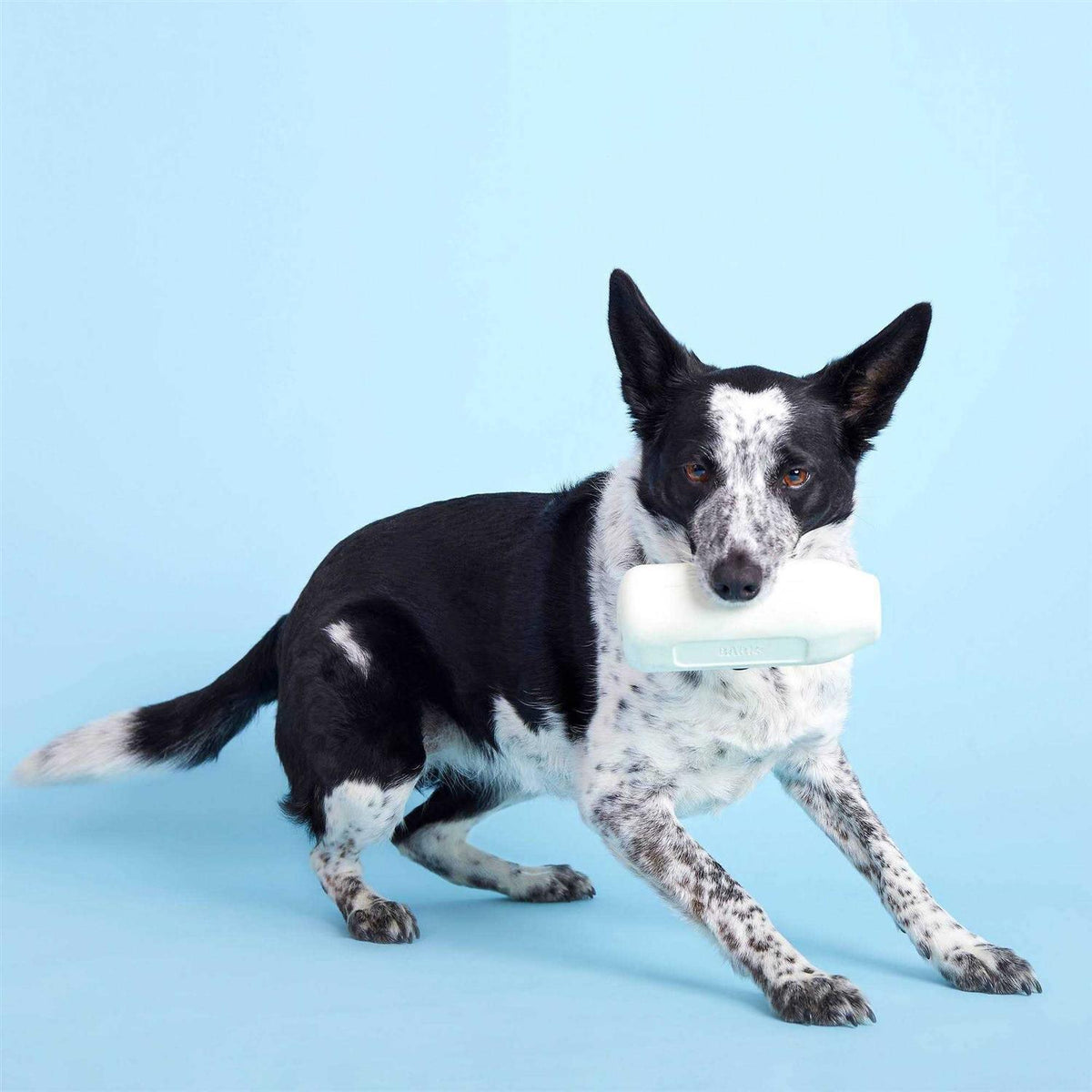 Cow Dog Toy G54703