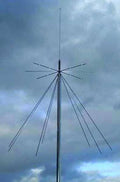 Vertical Antenna M28160