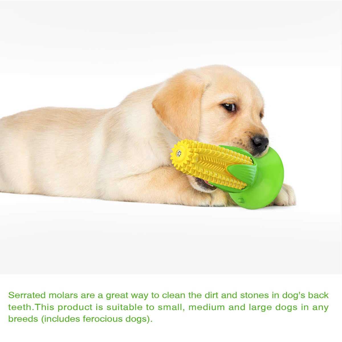 Puppy Teething Chew Toys S125