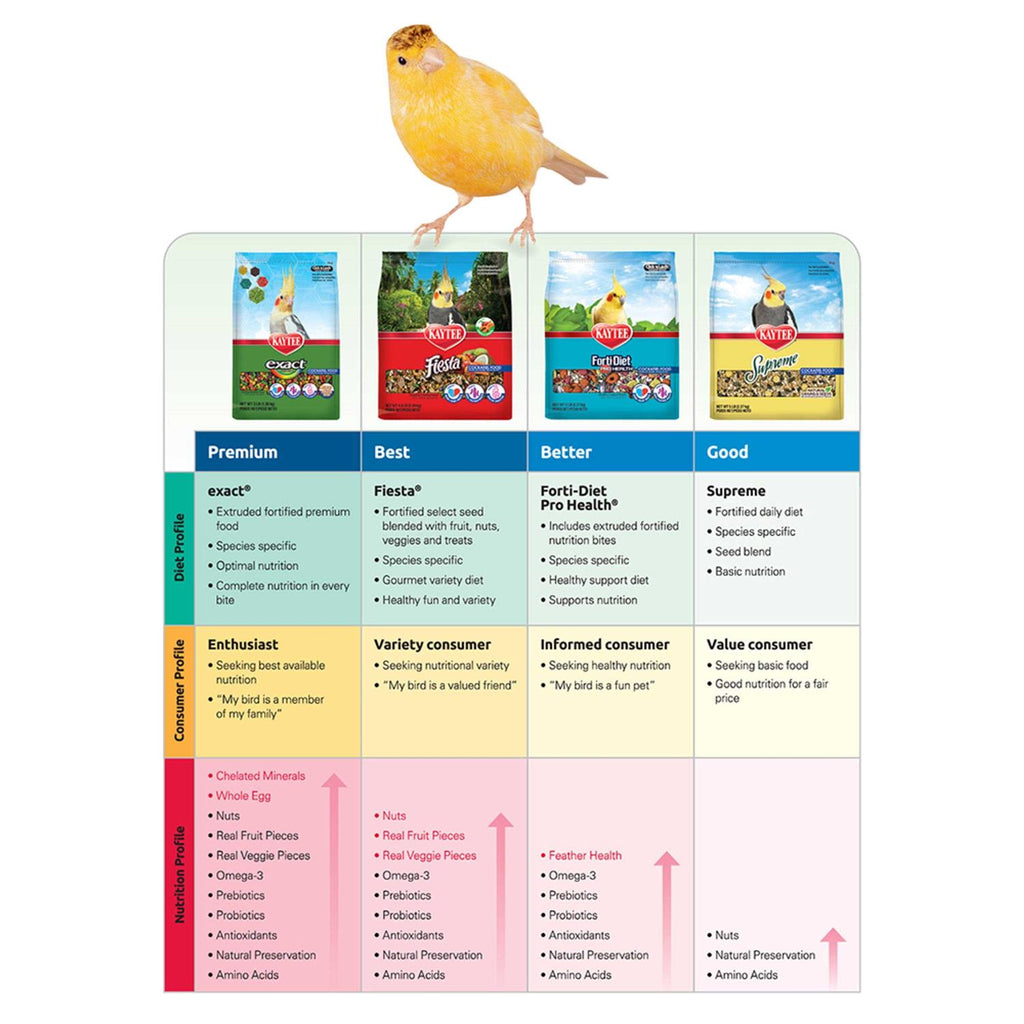 Parrot Food I41931