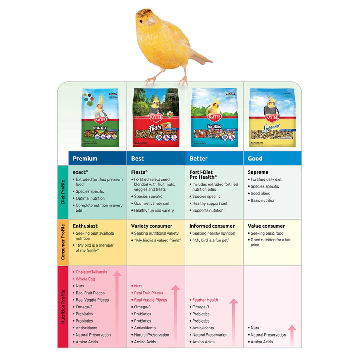 Parrot Food I41931