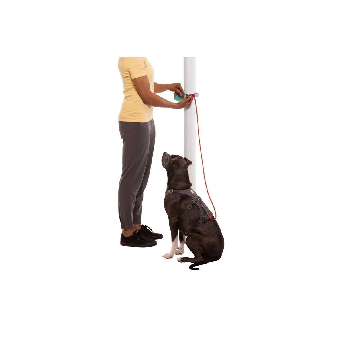 Hitch Hiker Leash M894572