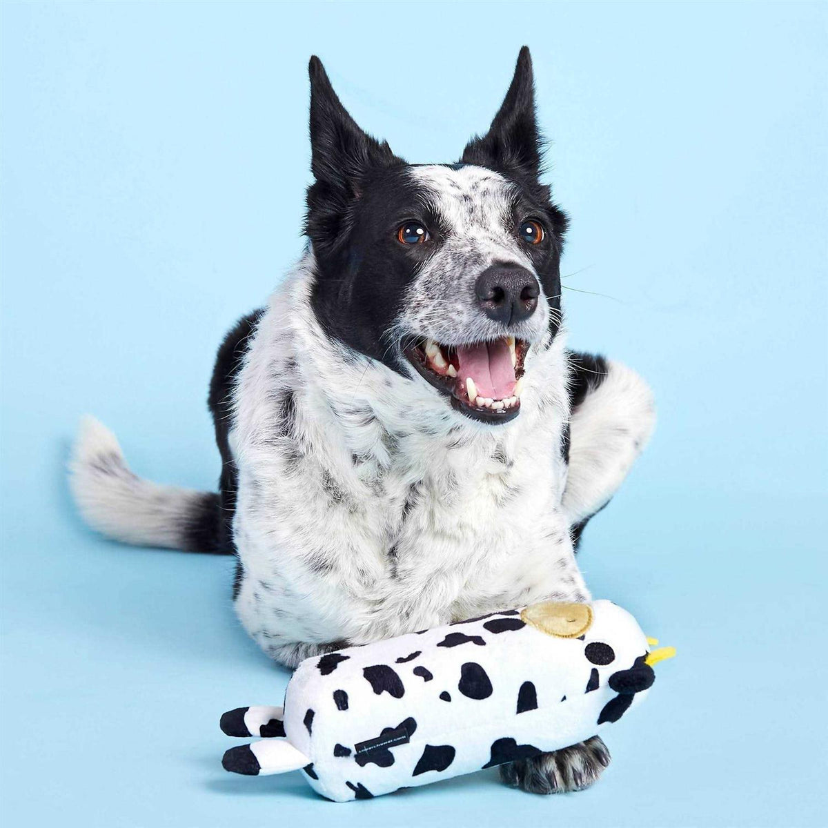 Cow Dog Toy G54703