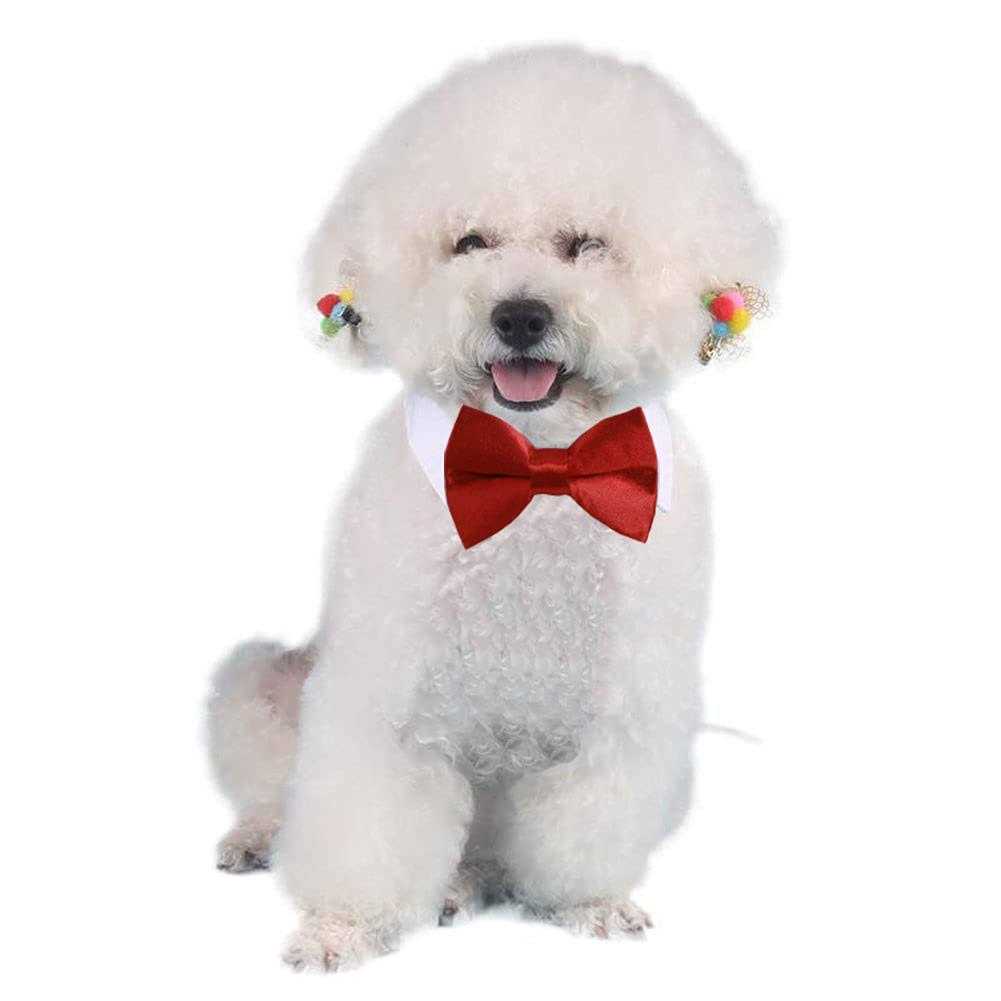Adjustable Pet Bowtie Collar T8126