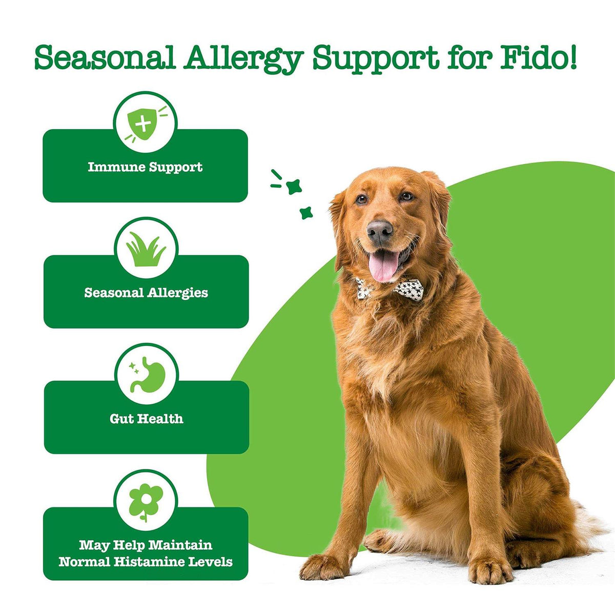 Hemp Cheese Allergy & Immune Bites for Dogs Z210