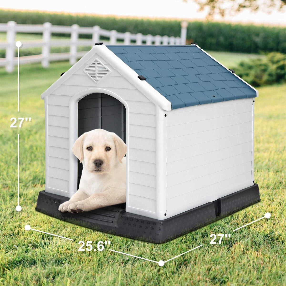 Plastic Dog Kennel with Air Vents and Elevated Floor C901