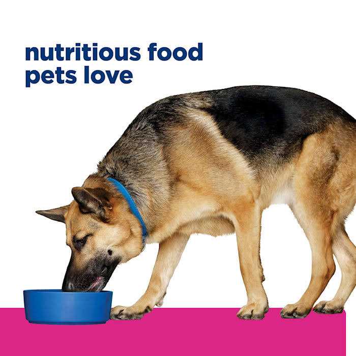 Gastrointestinal Biome Chicken & Vegetable Stew Wet Dog Food C6994