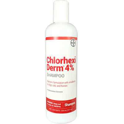 4% Chlorhexiderm Shampoo 12 Oz B270586