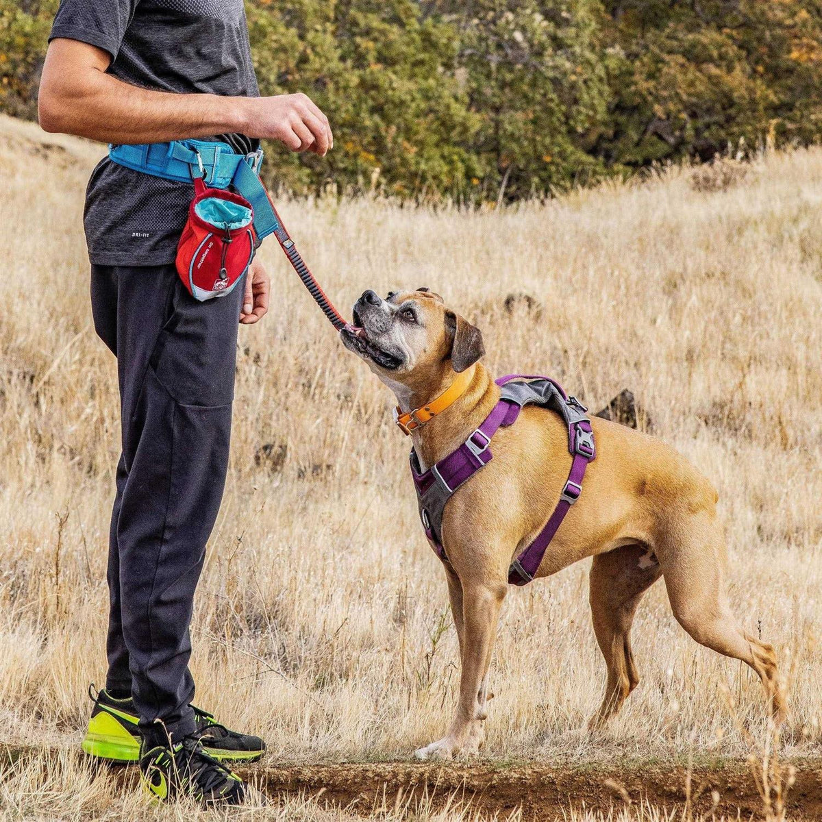 Dog Treat Bag L9636