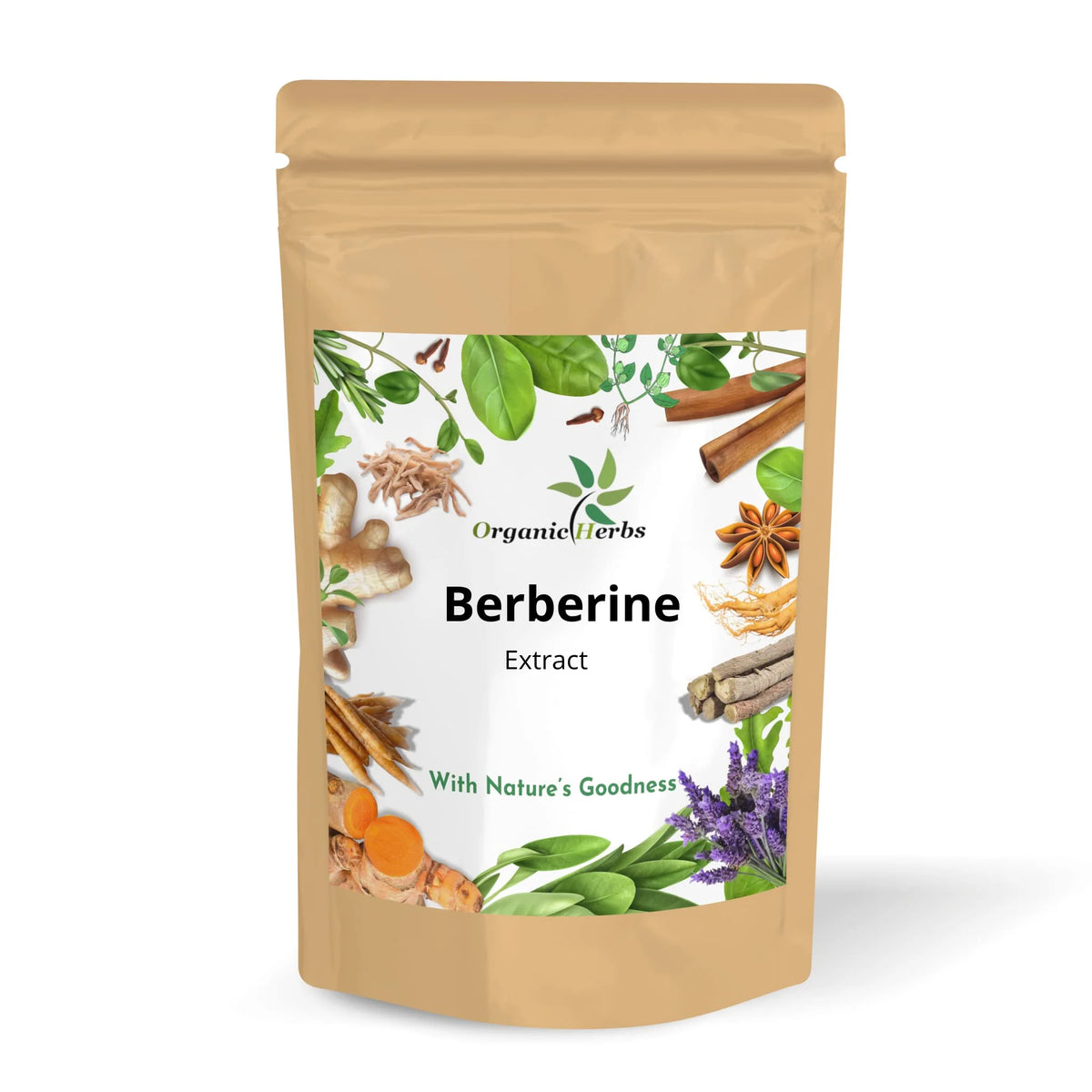 Berberine Extract Powder 100 Grams N882