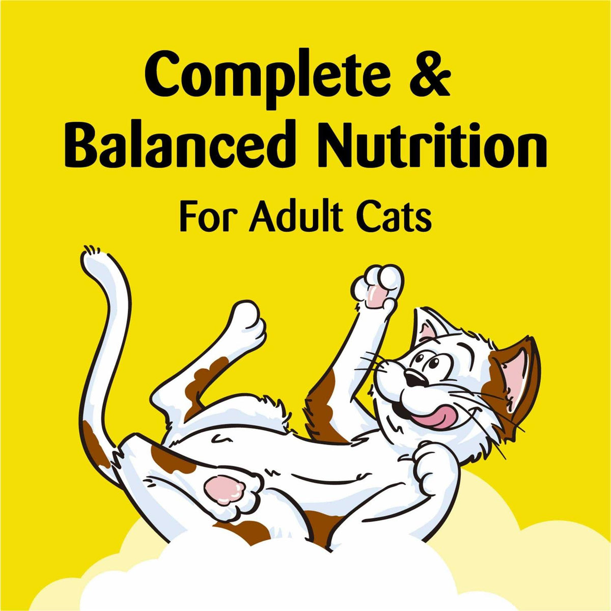 Indoor Control Cat Treats Chicken Flavor Z366648