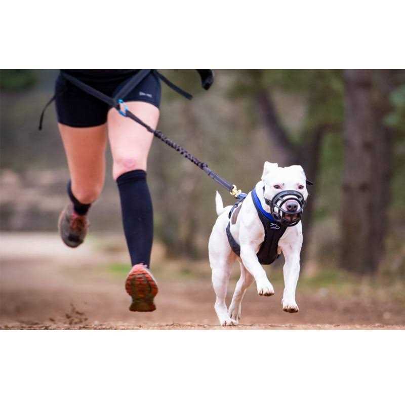 Breathable Silicone Dog Muzzle Q153