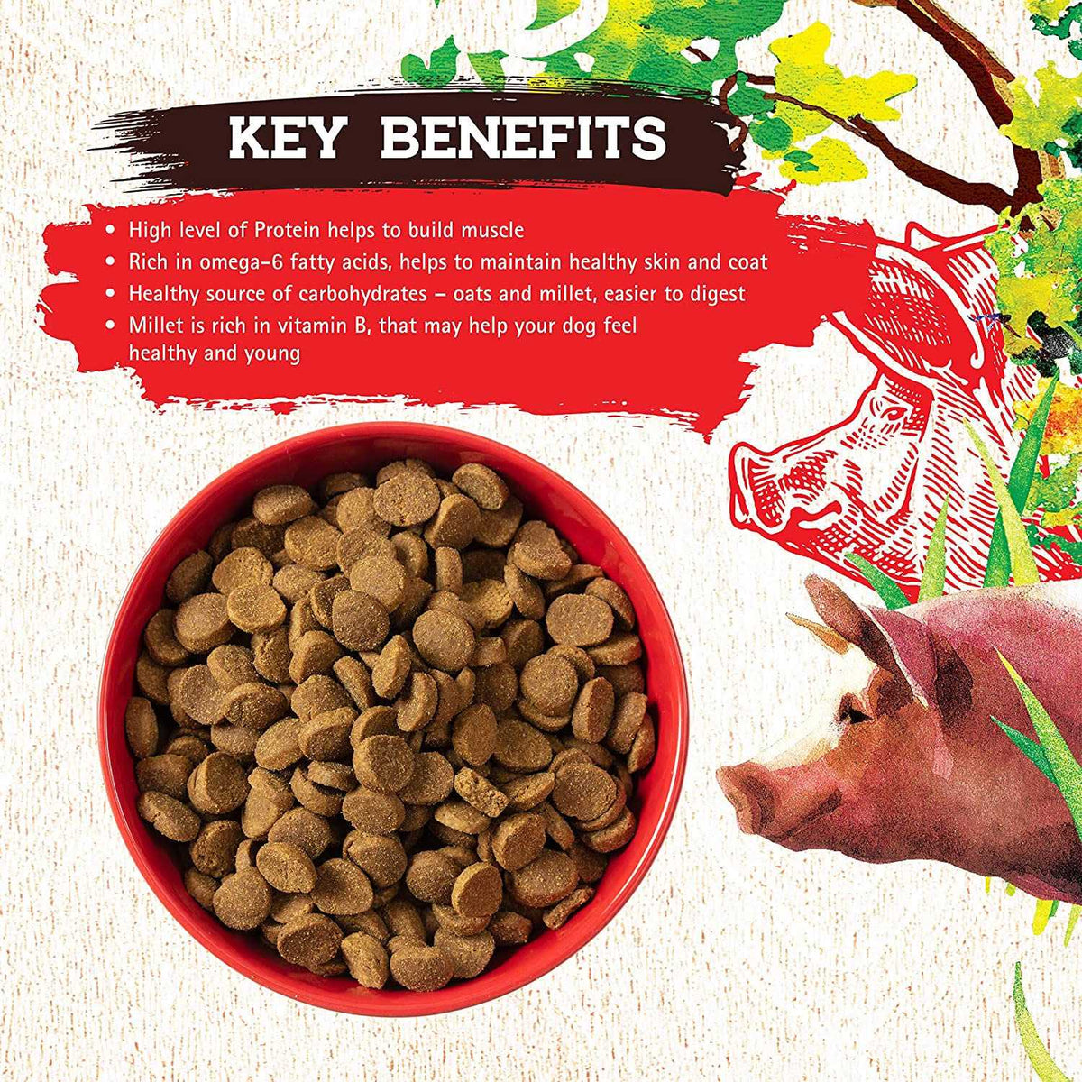 Pork Recipe Dog Food N99696