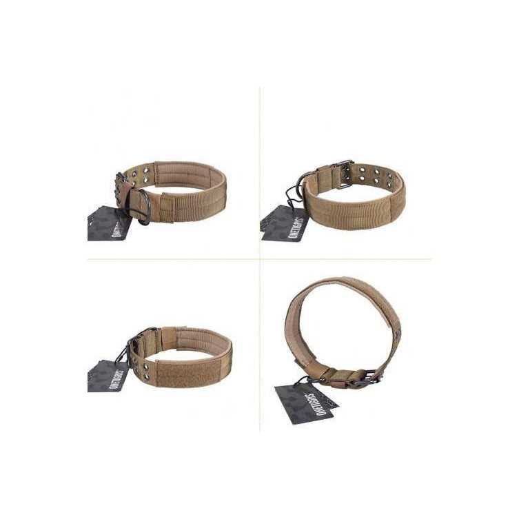 Adjustable Dog Collar with Metal D Ring Buckle Z5139