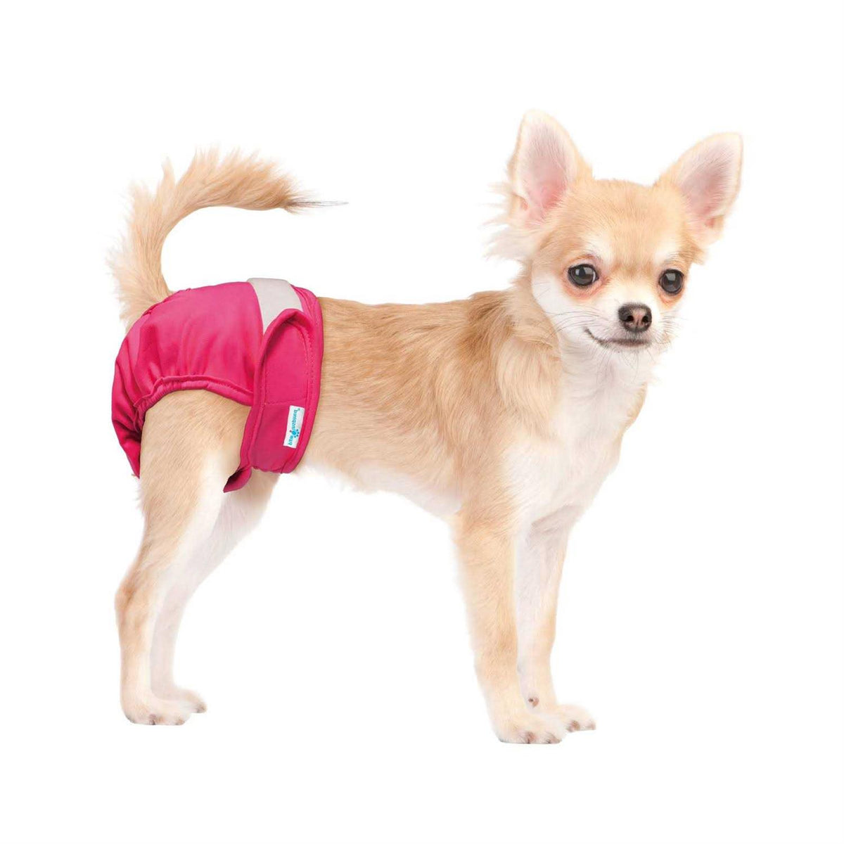 Washable Reusable Female Dog Diapers F54591
