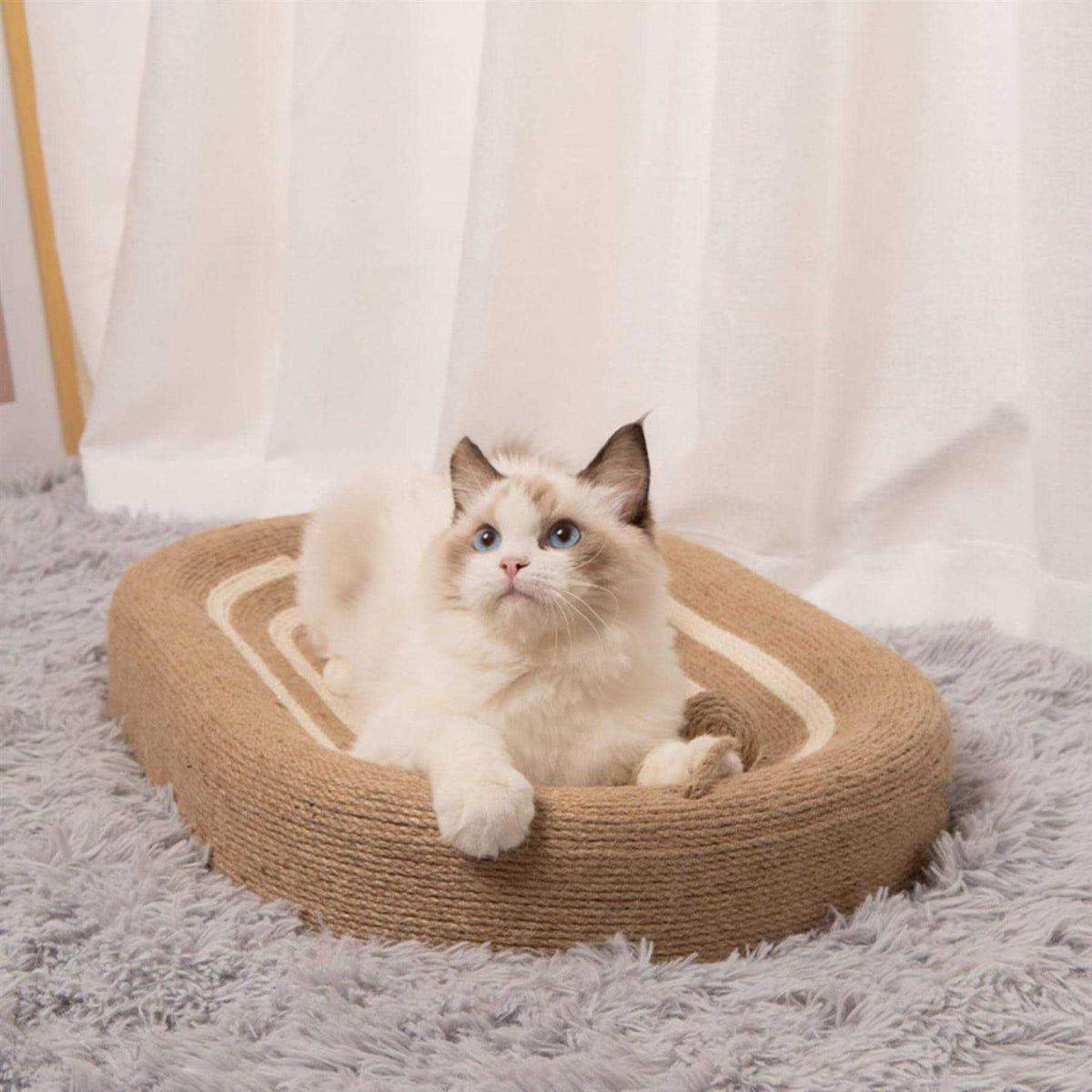 3 in 1 Cat Scratcher Bed X888668