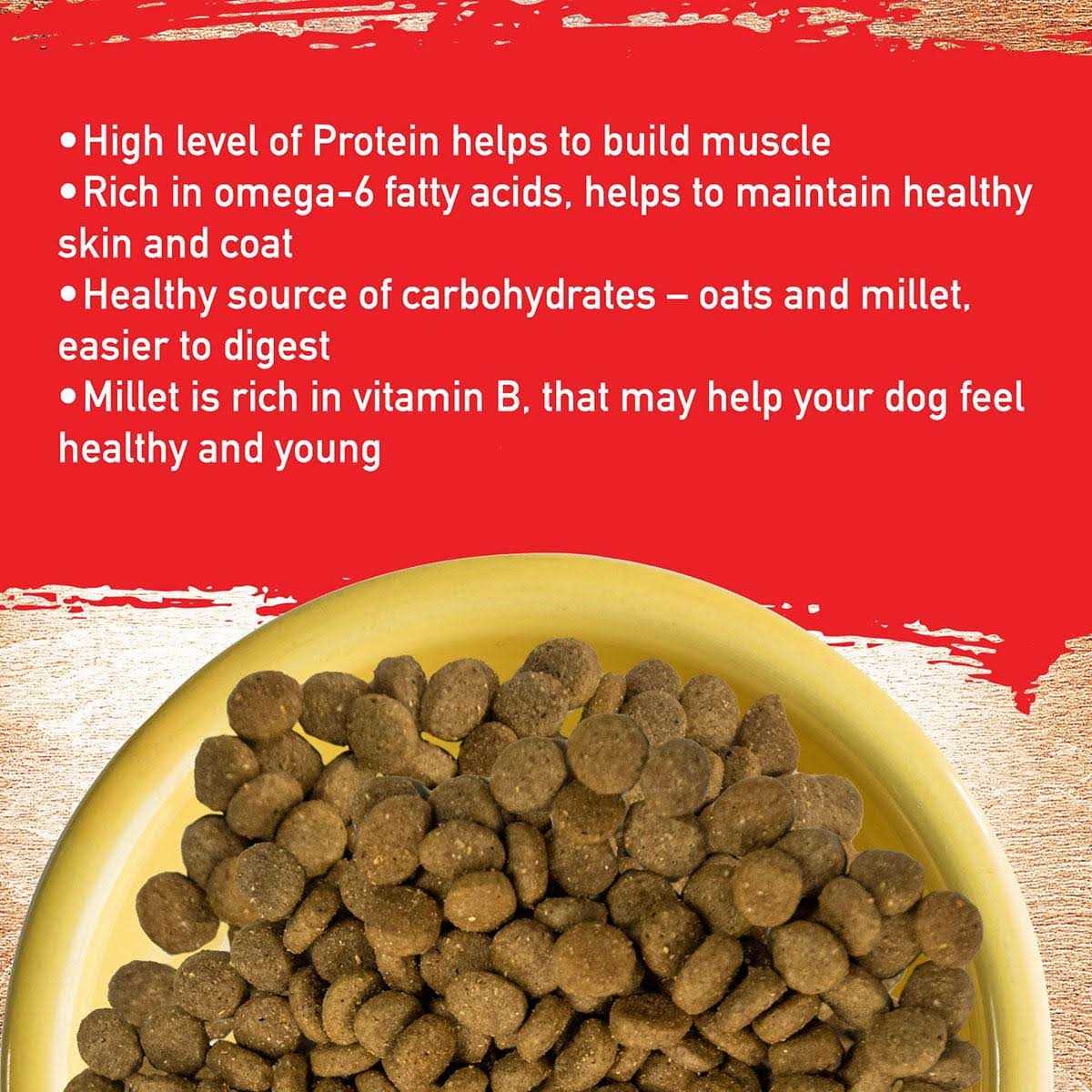 Pork Recipe Dog Food N99696
