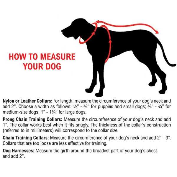 Comfort Mesh Harness J34333