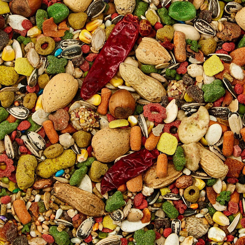 Parrot Food I41931