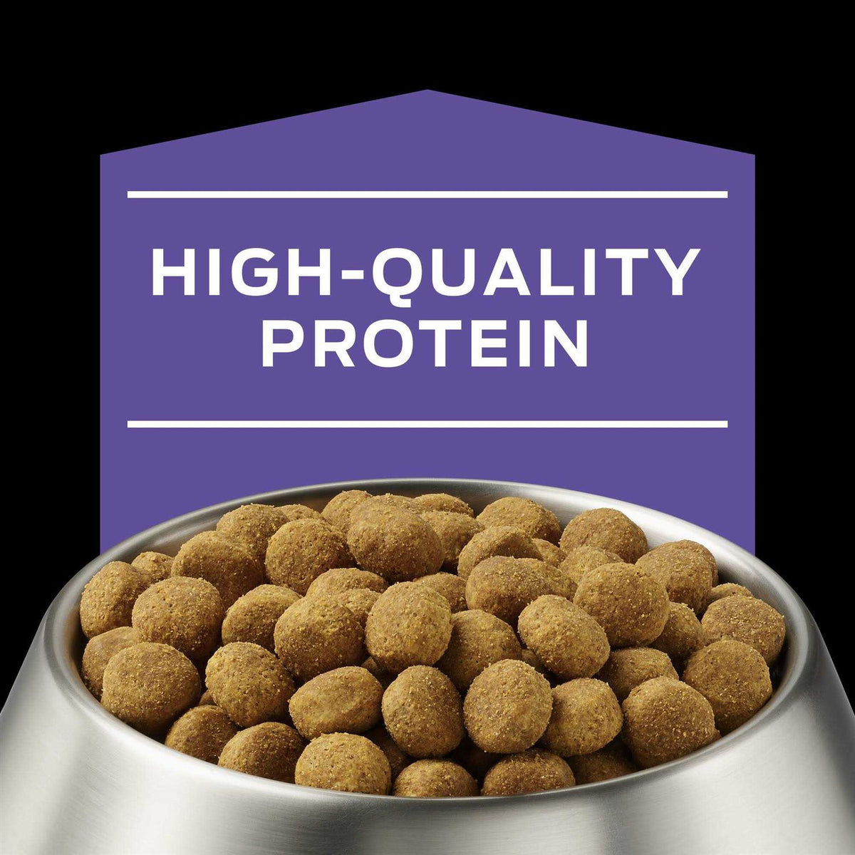 Dry Dog Food U464810