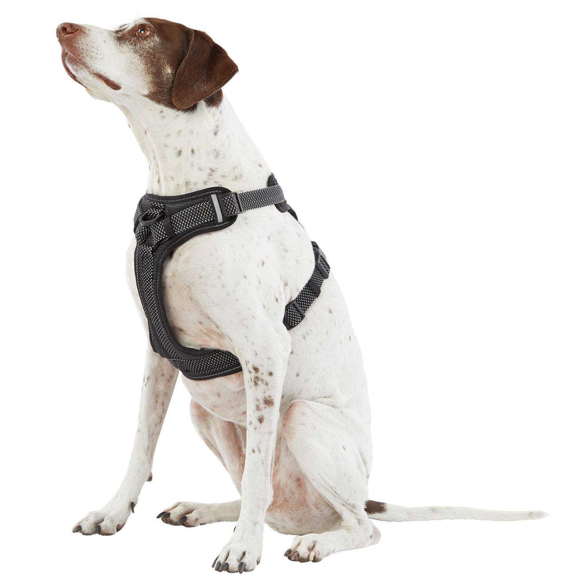 Reflective Dog Harness V39670