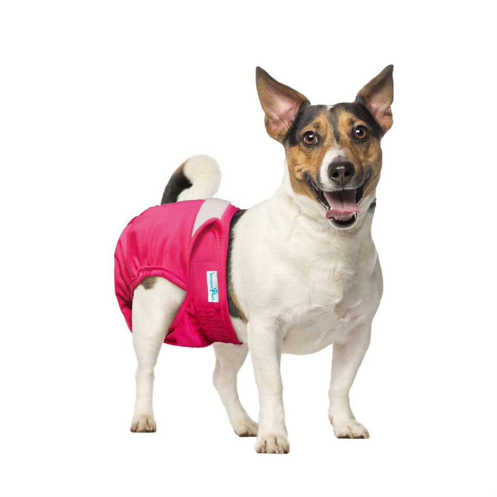 Washable Reusable Female Dog Diapers F54591